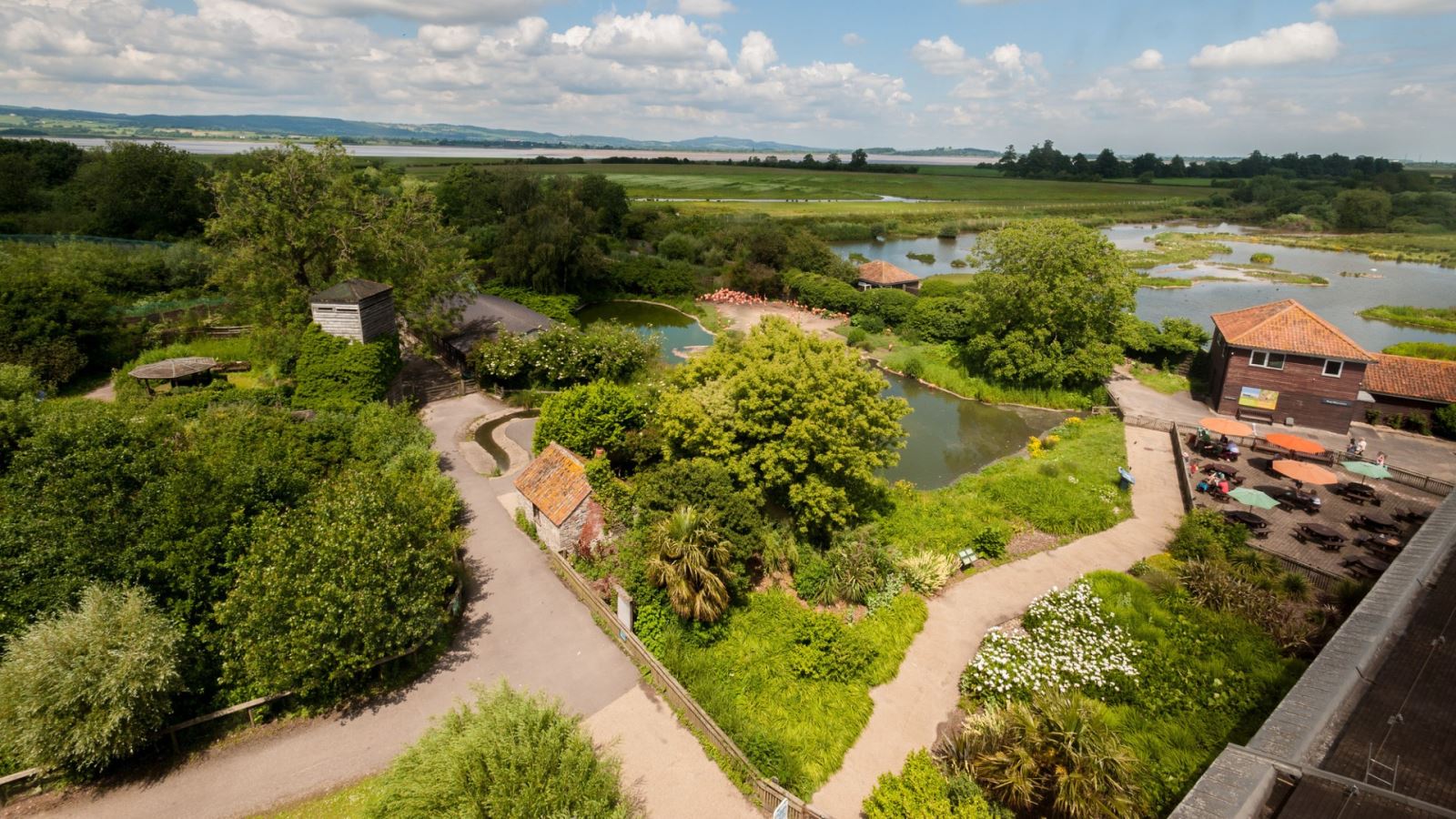 Aerial shot of WWT Slimbridge. Credit WWT Barry Batchelor